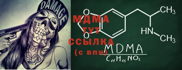 индика Богородицк