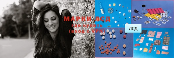 индика Богородицк