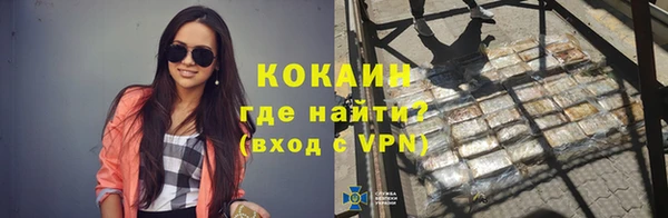 сатива Богородск