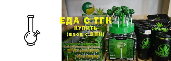 индика Богородицк