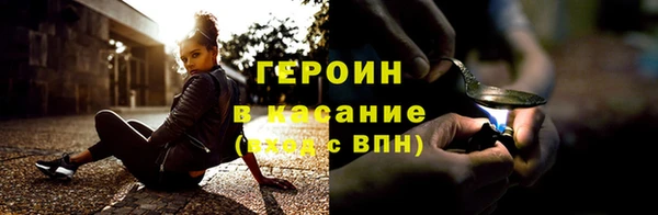 индика Богородицк