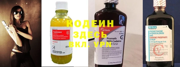 индика Богородицк