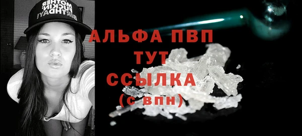 индика Богородицк
