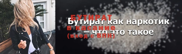 индика Богородицк