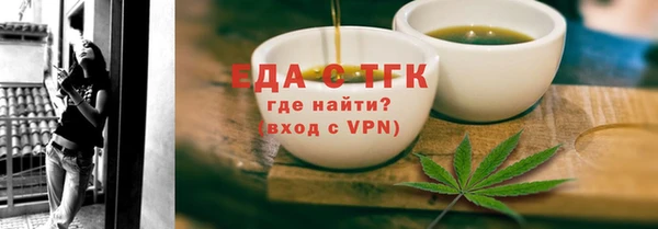индика Богородицк