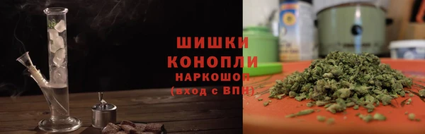 сатива Богородск