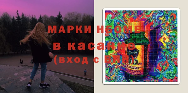 индика Богородицк