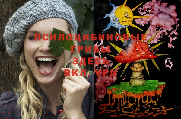 индика Богородицк