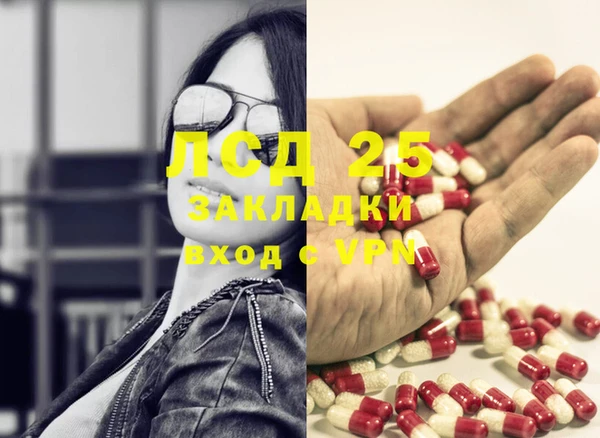 индика Богородицк