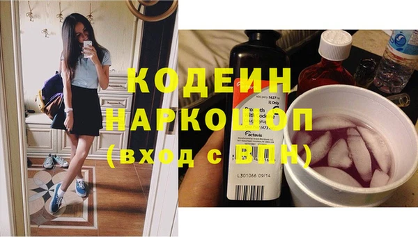 индика Богородицк