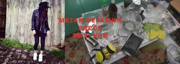 индика Богородицк