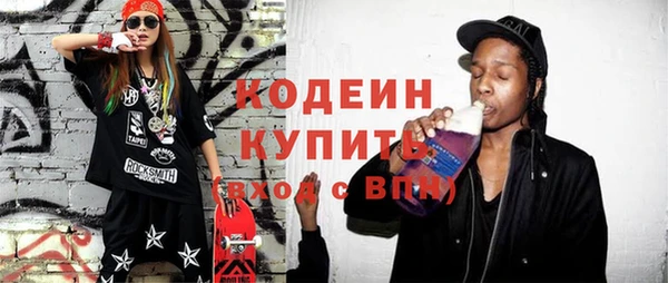 индика Богородицк