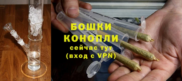 сатива Богородск