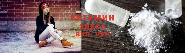индика Богородицк