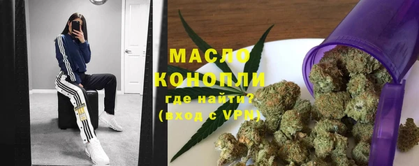 индика Богородицк