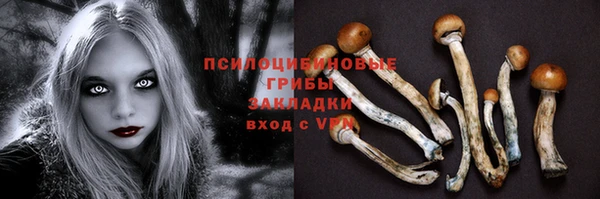 синтетический гашиш Богданович