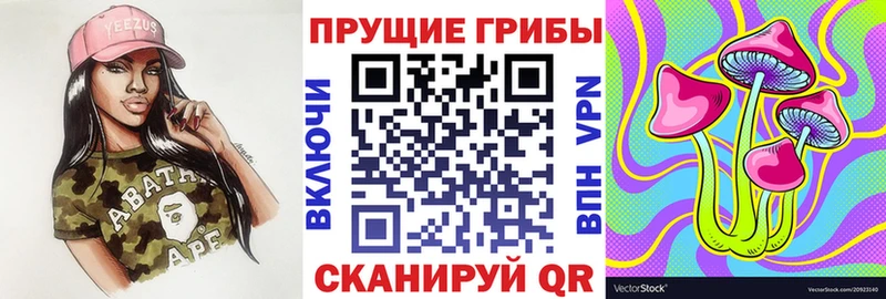 KRAKEN сайт  Вельск  Псилоцибиновые грибы MAGIC MUSHROOMS 